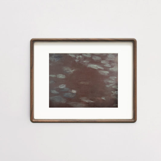 Mud Water Lilies - 11" x 14" Print